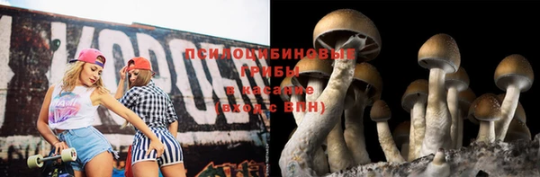 jwh Арсеньев