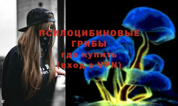 МДМА Бикин