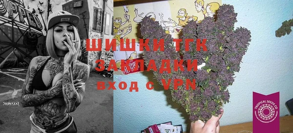 дживик Аркадак