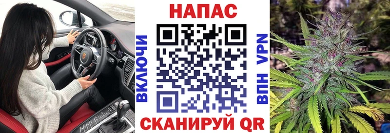 наркота  Всеволожск  Канабис сатива 